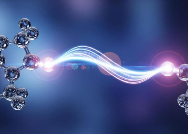 Kookmin University professor’s research on AI models published in Nature
